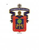 Consumismo. Preguntas / Respuestas