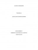 LECCIÓN 10 MANGUERAS