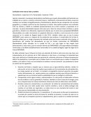 Confusión entre marca vista y nombre