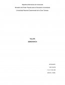 DEMOCRACIA PARTICIPATIVA Y PROTAGÓNICA