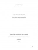 INTRODUCIÓN A LA SLAUD Y SEGURIDAD EN EL TRABAJO. MATRIZ DE RIESGOS