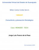 EA3 caso wonder-tech