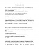 Factores del crecimiento empresarial. Especial referencia a las pequeñas y medianas empresas