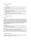 PRÁCTICA Nº6: HIDROGELES