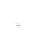 Características de la gestión en la Organización