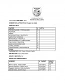 Ensayo de cizalla
