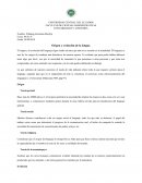 Origen y evolución de la lengua