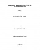 Aspectos de la marca y ciclo de vida del producto y servicio