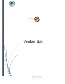 Proyecto de Jugos Funcionales “Vimber Safi”