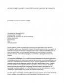 INFORME SOBRE EL CVUDES Y CARACTERÍSTICAS DE SU MODELO DE FORMACIÓN