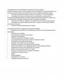 LANZAMIENTO DE UNA EMPRESA DE BOLSOS DE PALMA AIRACA