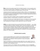 APUNTES DE ETICA JURIDICA