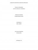 TRABAJO DE ERGONOMIA. ELECTIVA CIENCIAS DE LA INGENIERIA