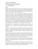 Trabajo gestión organizacional