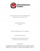 Ensayo de evidencia aerca de las problematicas