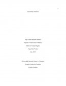 Acogida e Inducción Unadista. Cátedra Unadista