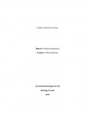 Análisis interno D´lirios de Café