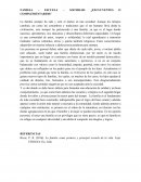 FAMILIA – ESCUELA – SOCIEDAD: ¿EXCLUYENTES O COMPLEMENTARIOS?