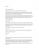 Capítulo 5 Funciones trigonométricas