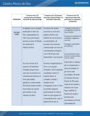 Cuadro comparativo padres
