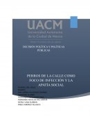 DECISION POLITICA Y POLITICAS PUBLICAS