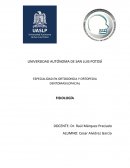 FISIOLOGIA. ANATOMIA FUNCIONAL DEL SISTEMA MASTICATORIO