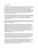 PROBLEMAS DE LENGUAJE