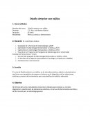 Diseño anterior con rejillas