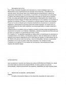 Planificación de la demanda, empresa Primax