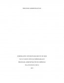 Análisis del proceso administrativo, teniendo en cuenta los siguientes conceptos: Planeación, organización, dirección y control