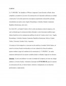 Ética del contador público casos