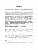 ANDARAY ENSUEÑO DEL CIELO