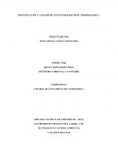 IDENTIFICACIÓN Y ANALISIS DE CONCEPTOS BÁSICOS DE TERMÓDINÁMICA