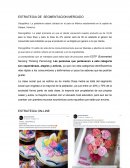 ESTRATEGIA DE SEGMENTACION MERCADO