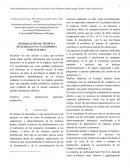 OPTIMIZACIÓN DE TIEMPO Y MATERIALES EN UNA EMPRESA PUBLICITARIA