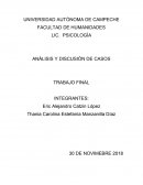 ANÁLISIS Y DISCUSIÓN DE CASOS