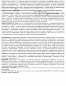 RESUMEN HABILIDADES DIRECTIVAS