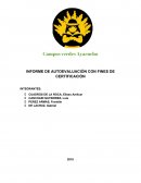 Negocios interrnacionales empresa “Campos verdes Ayacucho”