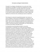 Conceptos socilogicos Fundamentos