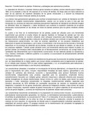 Resumen: Transformación de plantas: Problemas y estrategias para aplicaciones practicas