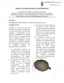 Articulo de revisión Gliptodonte