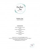 Administracion empresa Percect Inc S.A.S