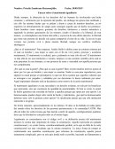 Ensayo sobre el matrimonio igualitario