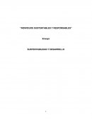“INDIVIDUOS SUSTENTABLES Y RESPONSABLES”