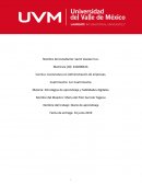 Estrategias de aprendizaje y habilidades digitales