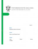 Metodología y práctica de la información