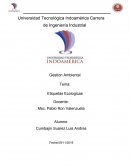 Gestion Ambiental Tema: Etiquetas Ecologicas