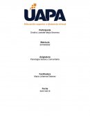 Psicología Social y Comunitaria