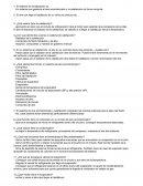 Sistemas de confort y seguridad