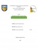 Negociacion colectiva